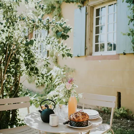 Domaine La Commanderie - De Charme Modulables Avec Jardin Obernai - Max 10 Pers