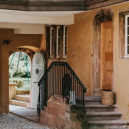 Domaine La Commanderie - De Charme Modulables Avec Jardin Obernai - Max 10 Pers